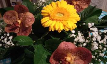 Puzzle 9117 - bouquet de fleurs