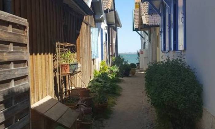 Puzzle bord de mer