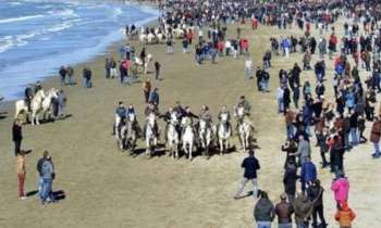 Puzzle 7559 - fiesta camarguaise