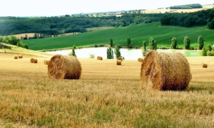 Puzzle Paille