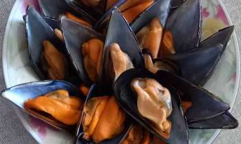 Puzzle 7930 - Assiette de moules