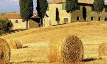 Puzzle 8374 - meule de paille