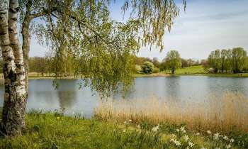 Puzzle 10430 - Petit lac
