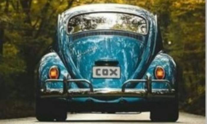 Puzzle vw coccinelle