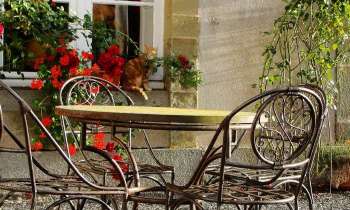 Puzzle 9677 - jardin roses et chat