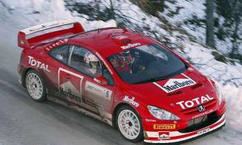 Puzzle 7977 - PEUGEOT 307 WRC