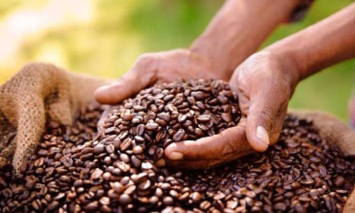 Puzzle grains de café - Divers - Absolu Puzzle