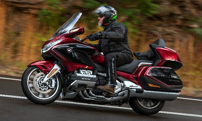 Puzzle 1800 GOLDWING