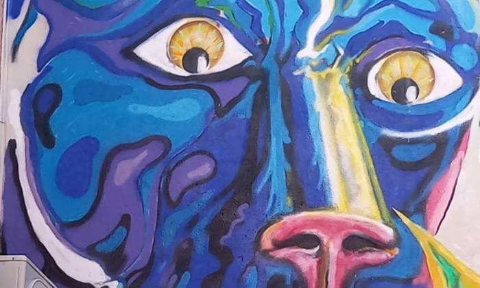 Puzzle Dessin mural