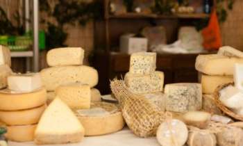 Puzzle 8494 - fromage