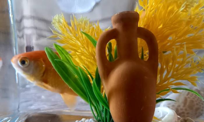 Puzzle Poisson rouge
