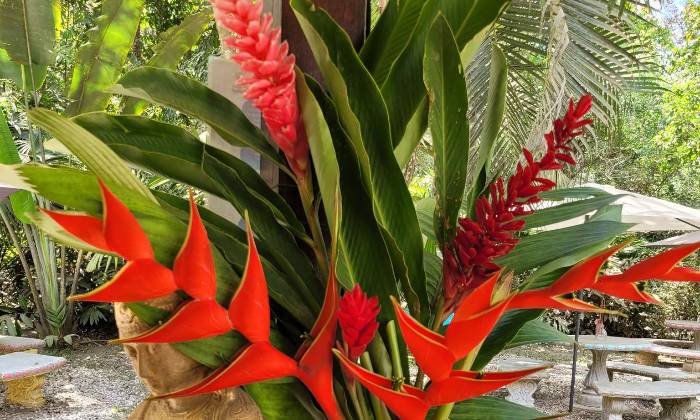 Puzzle Fleurs exotiques