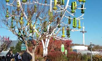 Puzzle 8677 - arbre magique