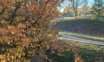 Puzzle 9285 - l'automne