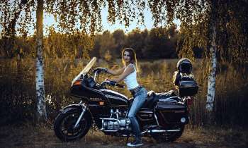 Puzzle 8902 - 1976 GL1100 GOLDWING
