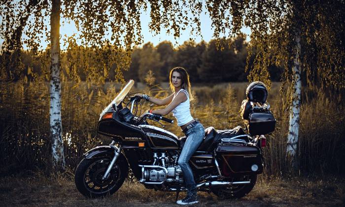 Puzzle 1976 GL1100 GOLDWING