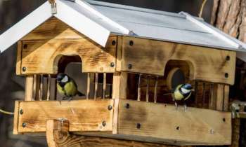 Puzzle 11118 - A l'abri pour l'hiver