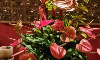 Puzzle 13462 - bouquet de fleurs