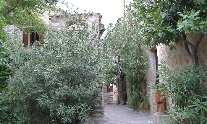 Puzzle ruelle St Guilhem le Désert