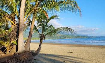 Puzzle 7705 - Plage du Pacifique