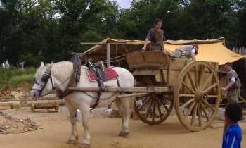 Puzzle 9262 - cheval à Guédelon