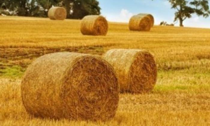 Puzzle meules de paille