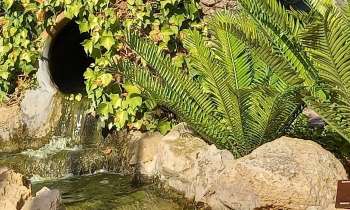 Puzzle 8108 - Ruisseau
