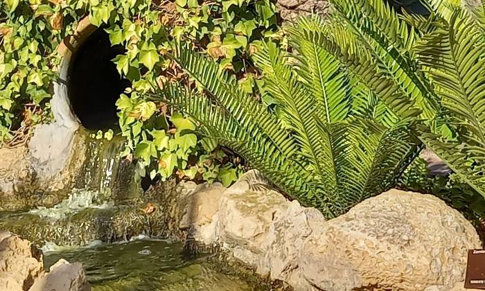 Puzzle Ruisseau