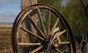 Puzzle 9126 - vielle roue de charette