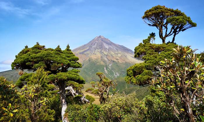 Puzzle Volcan Taranaki