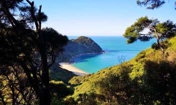 Puzzle 9062 - Plage en Nouvelle Zelande