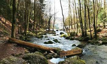 Puzzle 8596 - Randonnée dans le Jura