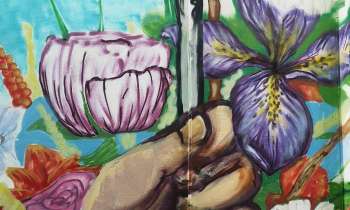 Puzzle 9243 - street art