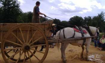 Puzzle 8168 - cheval à Guédelon