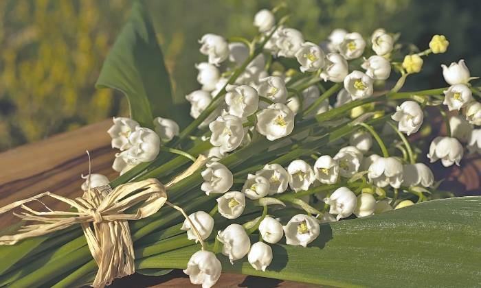 Puzzle Joli bouquet de muguets
