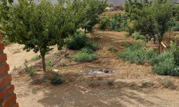 Puzzle 9326 - Jardin