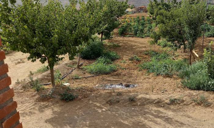 Puzzle Jardin