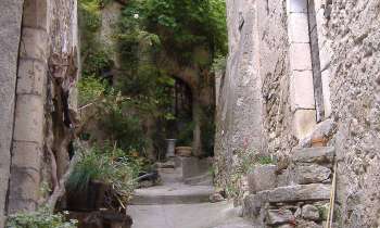 Puzzle 10865 - ruelle