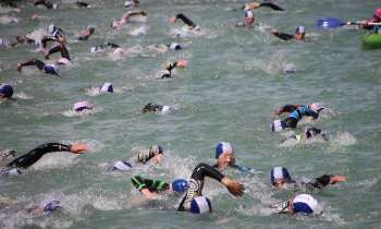Puzzle 7810 - natation