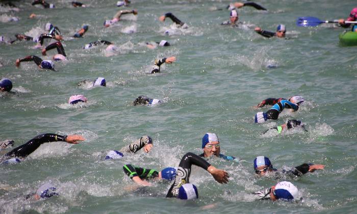 Puzzle natation