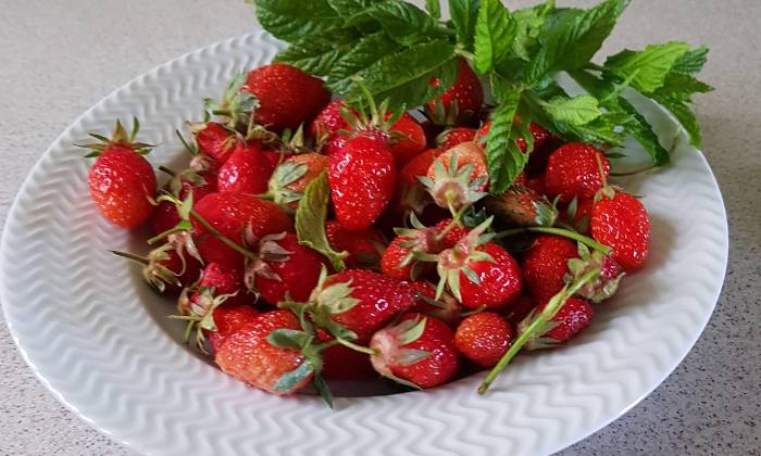 Puzzle Fraises de mon jardin