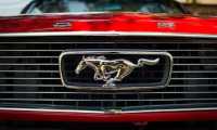 Puzzle Mustang