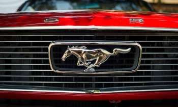 Puzzle 12498 - Mustang