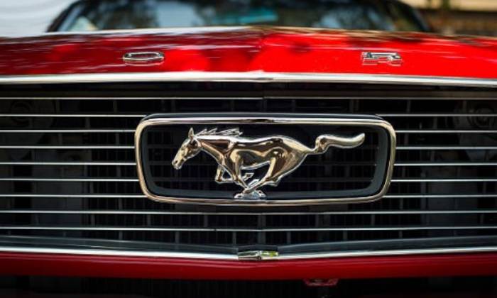 Puzzle Mustang