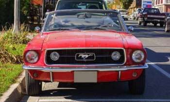 Puzzle 11605 - Mustang en ville