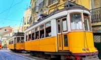 Puzzle Tram