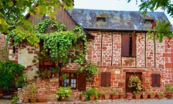 Puzzle 9292 - Jolie Maison de campagne