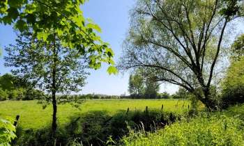 Puzzle 8847 - campagne