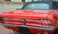Puzzle Mustang