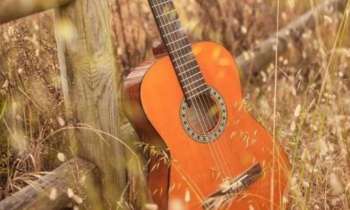 Puzzle 12332 - guitare en campagne